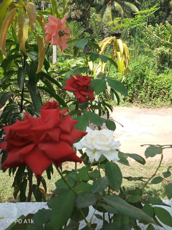 Sidhangana Home Stay أنرادابورام المظهر الخارجي الصورة