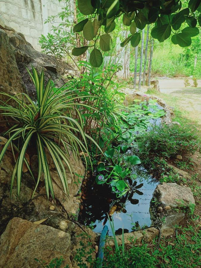 Sidhangana Home Stay أنرادابورام المظهر الخارجي الصورة