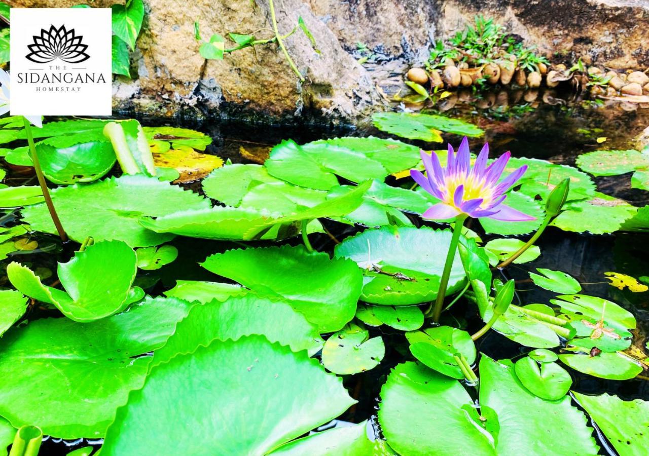 Sidhangana Home Stay أنرادابورام المظهر الخارجي الصورة